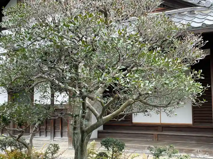 新德禅寺 (新徳寺)(京都府)