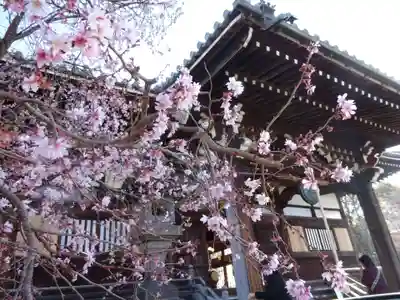 妙蓮寺(神奈川県)