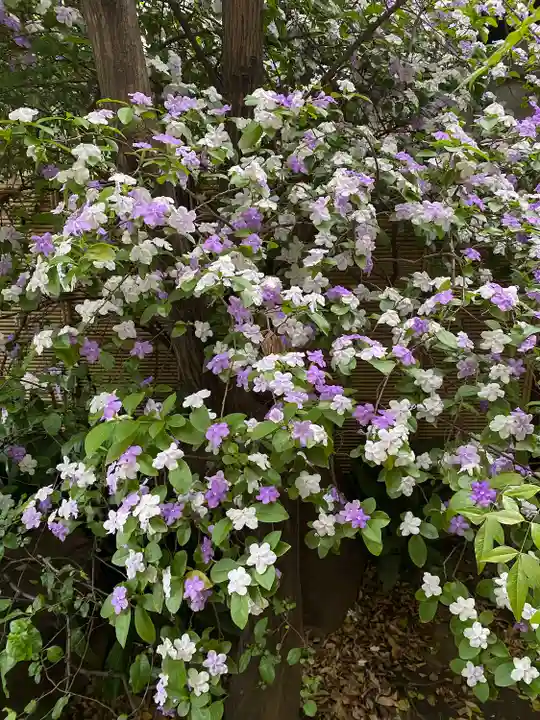 青山熊野神社(東京都)