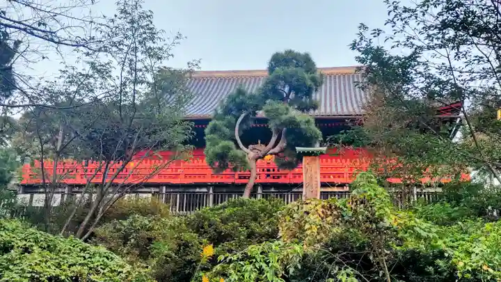 清水観音堂(東京都)