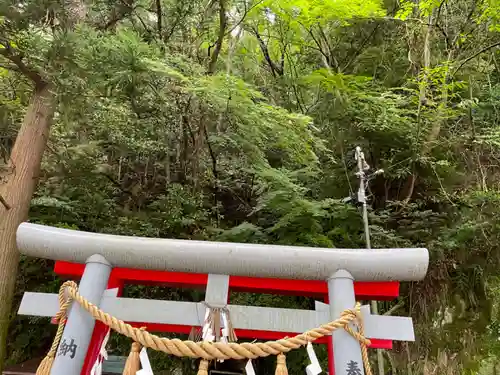 藤ヶ崎龍神社の鳥居