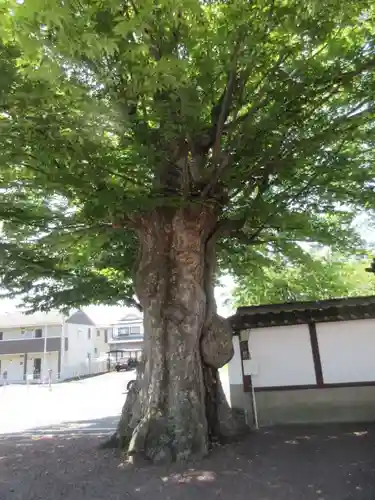 九品寺の建物その他