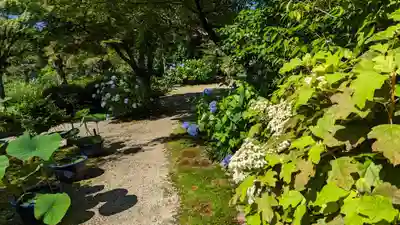 法金剛院(京都府)