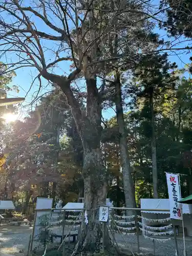小御門神社(千葉県)