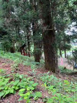 大宮温泉神社(栃木県)