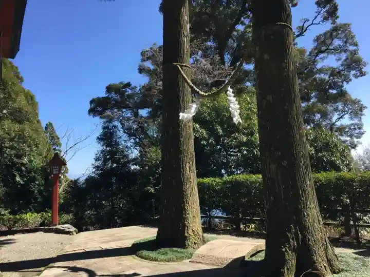霧島東神社の庭園