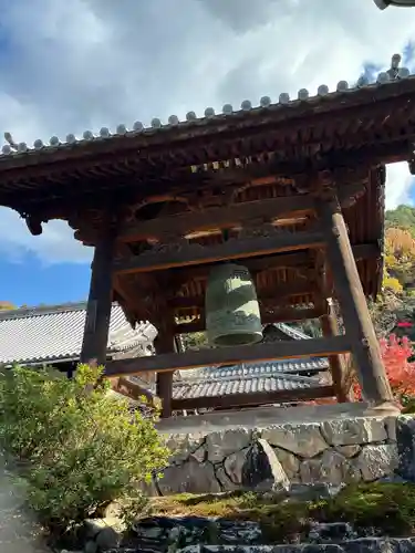 興聖寺（興聖寶林禅寺）(京都府)