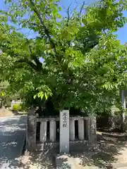 田村神社(香川県)