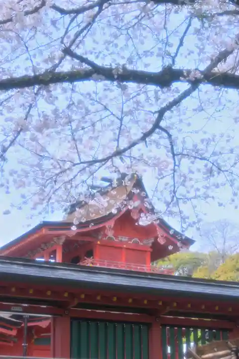富士山本宮浅間大社(静岡県)