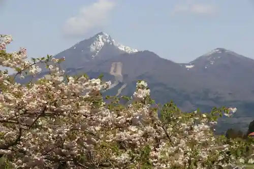 白幡八幡神社の景色