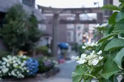 白山神社のその他建物