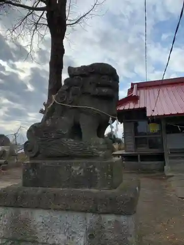 白髭神社の狛犬