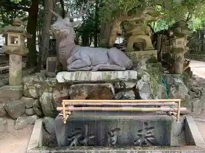 春日大社の手水舎