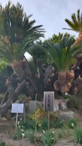 安養院の{uncategorized: "未分類", other: "その他", undefined: "問題あり", building: "その他建物", grave: "お墓", sacred_gate: "鳥居", guardian: "狛犬", statue: "像", buddha: "仏像", history: "歴史", nature: "自然", garden: "庭園", animal: "動物", pagoda: "塔", temizu: "手水舎", mountain_gate: "山門・神門", sanctuary: "本殿・本堂", subordinate: "末社・摂社", art: "芸術", scenery: "景色", jizo: "地蔵", ema: "絵馬", goshuin: "御朱印", omikuji: "おみくじ", items: "授与品その他", amulet: "お守り", goshuincho: "御朱印帳", eats: "食事", festival: "お祭り", votive_dance: "神楽", shichigosan: "七五三参", wedding: "結婚式", experience: "体験その他", initially: "初詣", around: "周辺", anti_infection: "感染症対策"}