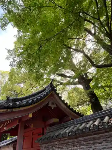 石清水八幡宮(京都府)