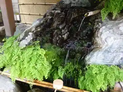馬橋稲荷神社の手水舎