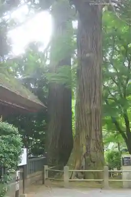 宝城坊(神奈川県)