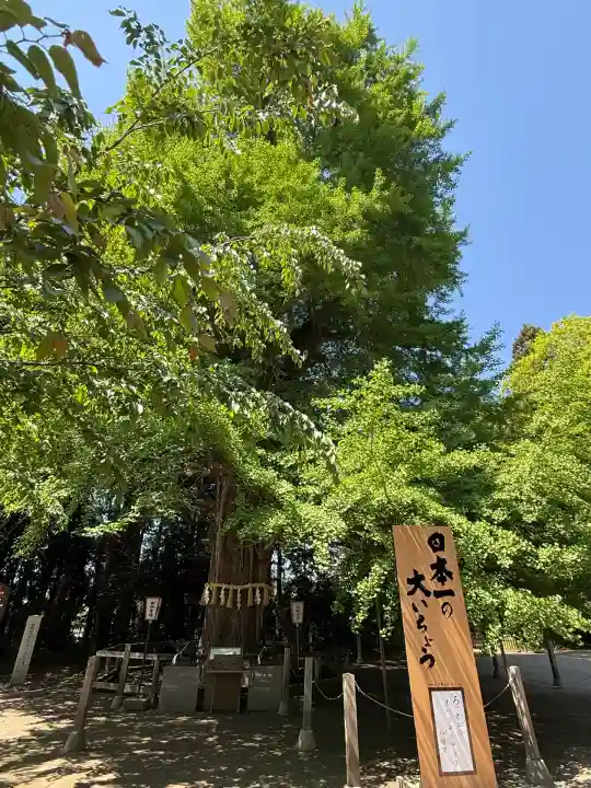 水戸八幡宮(茨城県)