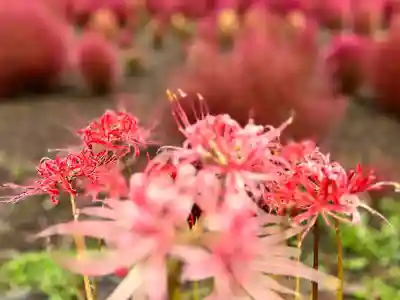 遠照寺(山梨県)