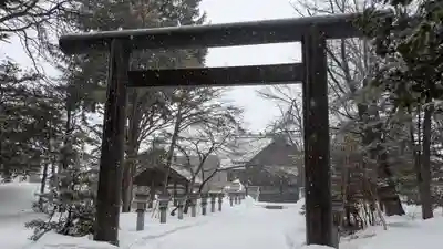 信濃神社の鳥居