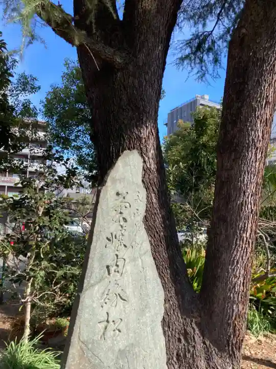十二所神社の自然