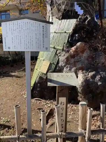 白山神社(東京都)