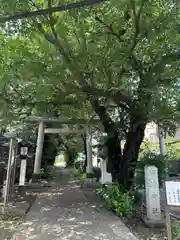 田端神社(東京都)