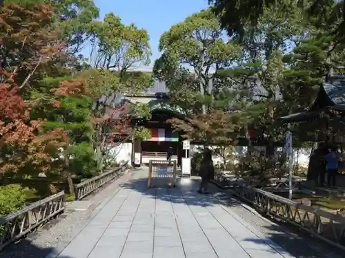 根来寺 智積院の自然