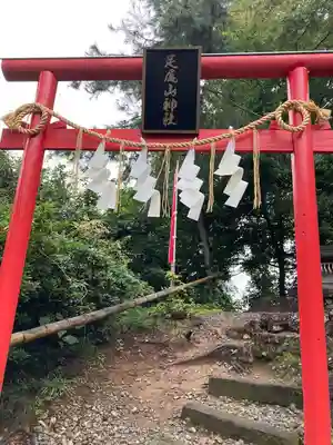 唐澤山神社の鳥居