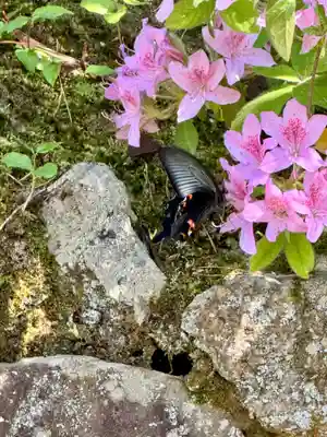高台寺（高台寿聖禅寺・高臺寺）(京都府)