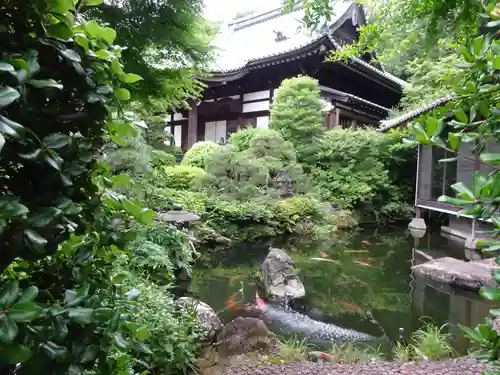 貴雲寺の庭園