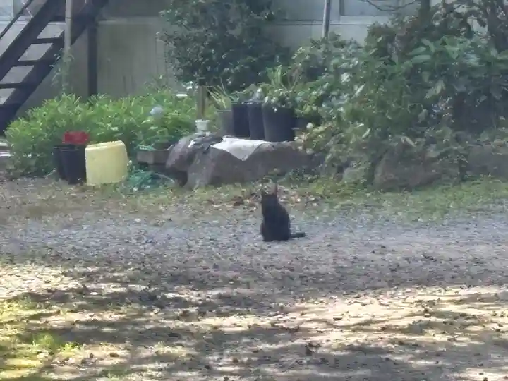 東金砂神社(茨城県)