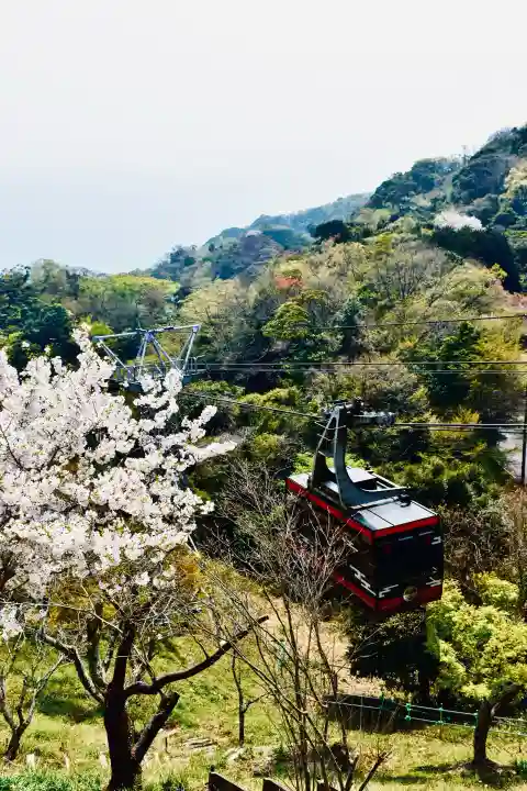 久能山東照宮の{uncategorized: "未分類", other: "その他", undefined: "問題あり", building: "その他建物", grave: "お墓", sacred_gate: "鳥居", guardian: "狛犬", statue: "像", buddha: "仏像", history: "歴史", nature: "自然", garden: "庭園", animal: "動物", pagoda: "塔", temizu: "手水舎", mountain_gate: "山門・神門", sanctuary: "本殿・本堂", subordinate: "末社・摂社", art: "芸術", scenery: "景色", jizo: "地蔵", ema: "絵馬", goshuin: "御朱印", omikuji: "おみくじ", items: "授与品その他", amulet: "お守り", goshuincho: "御朱印帳", eats: "食事", festival: "お祭り", votive_dance: "神楽", shichigosan: "七五三参", wedding: "結婚式", experience: "体験その他", initially: "初詣", around: "周辺", anti_infection: "感染症対策"}