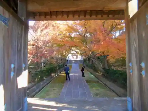 天嶽院の景色