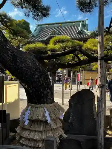 題経寺（柴又帝釈天）(東京都)