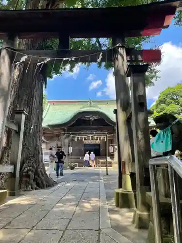 下総国三山　二宮神社の鳥居