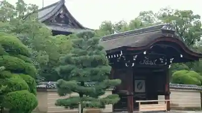 東寺（教王護国寺）のその他建物