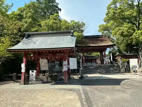 津島神社の手水