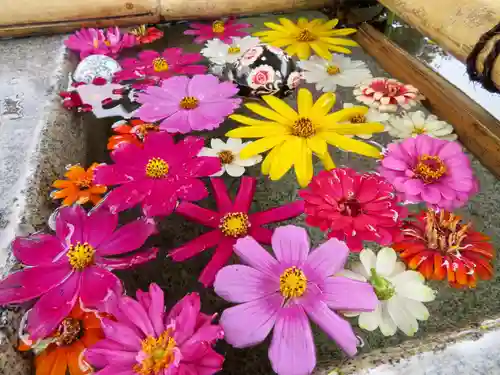 今市報徳二宮神社の手水舎