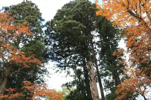 隠津島神社の自然