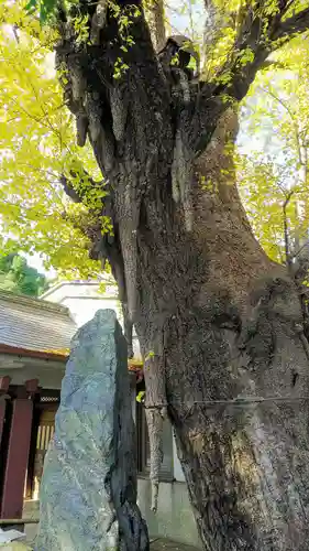 品川寺のその他建物