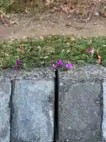 八幡社(千葉県)