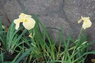 東海市熊野神社の手水舎