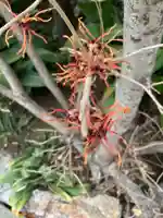 天寧寺(愛知県)