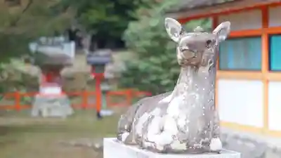 大原野神社(京都府)