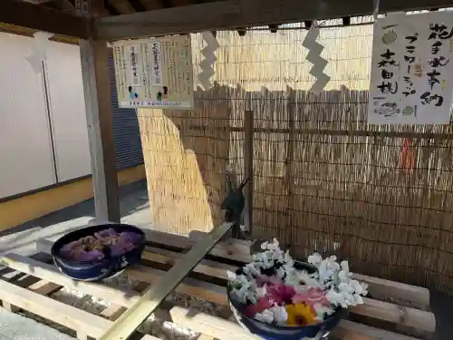 清瀧神社の{uncategorized: "未分類", other: "その他", undefined: "問題あり", building: "その他建物", grave: "お墓", sacred_gate: "鳥居", guardian: "狛犬", statue: "像", buddha: "仏像", history: "歴史", nature: "自然", garden: "庭園", animal: "動物", pagoda: "塔", temizu: "手水舎", mountain_gate: "山門・神門", sanctuary: "本殿・本堂", subordinate: "末社・摂社", art: "芸術", scenery: "景色", jizo: "地蔵", ema: "絵馬", goshuin: "御朱印", omikuji: "おみくじ", items: "授与品その他", amulet: "お守り", goshuincho: "御朱印帳", eats: "食事", festival: "お祭り", votive_dance: "神楽", shichigosan: "七五三参", wedding: "結婚式", experience: "体験その他", initially: "初詣", around: "周辺", anti_infection: "感染症対策"}