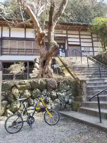 全洞院(埼玉県)