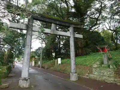 大汝牟遅神社の鳥居