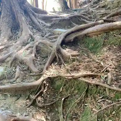 興国寺の{uncategorized: "未分類", other: "その他", undefined: "問題あり", building: "その他建物", grave: "お墓", sacred_gate: "鳥居", guardian: "狛犬", statue: "像", buddha: "仏像", history: "歴史", nature: "自然", garden: "庭園", animal: "動物", pagoda: "塔", temizu: "手水舎", mountain_gate: "山門・神門", sanctuary: "本殿・本堂", subordinate: "末社・摂社", art: "芸術", scenery: "景色", jizo: "地蔵", ema: "絵馬", goshuin: "御朱印", omikuji: "おみくじ", items: "授与品その他", amulet: "お守り", goshuincho: "御朱印帳", eats: "食事", festival: "お祭り", votive_dance: "神楽", shichigosan: "七五三参", wedding: "結婚式", experience: "体験その他", initially: "初詣", around: "周辺", anti_infection: "感染症対策"}