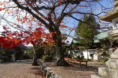 帝釈寺のその他建物